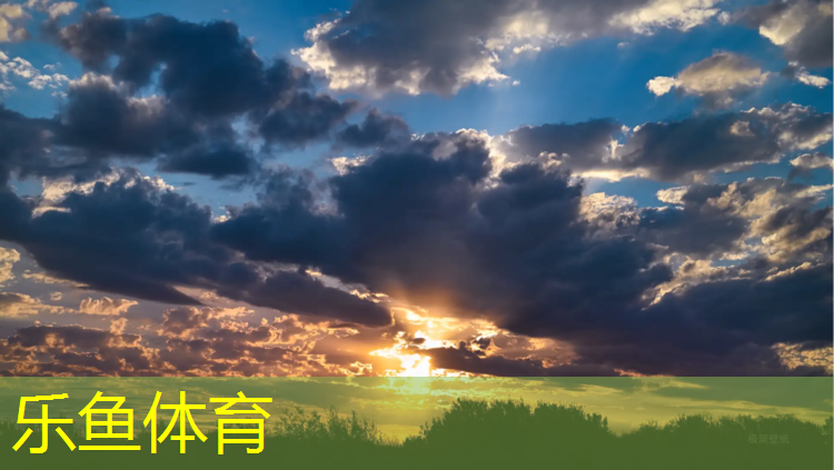 易拆卸的乒乓球台
